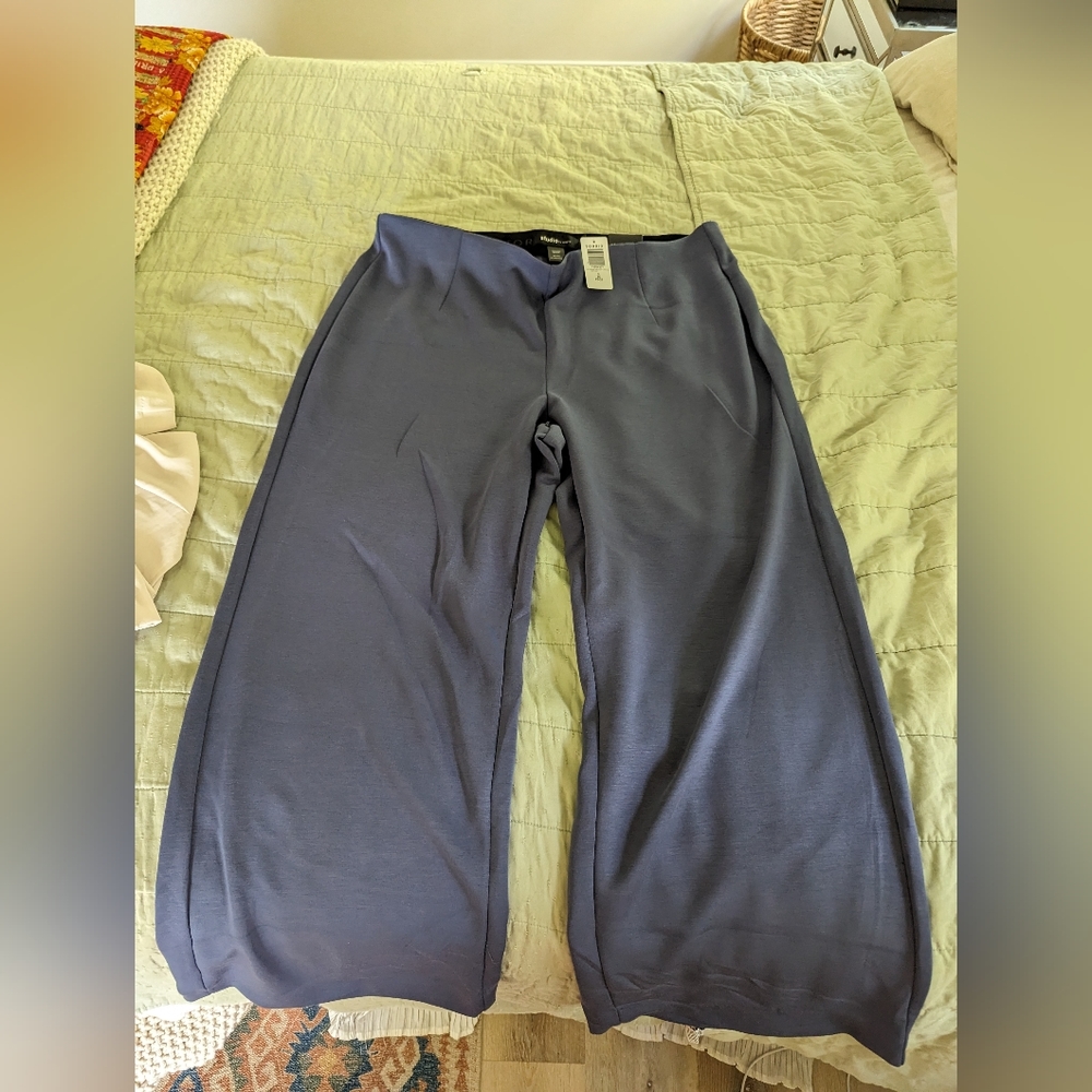 Torrid Blue, Wide Leg, Short Inseam Slacks